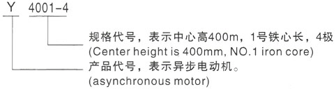 西安泰富西玛Y系列(H355-1000)高压YKK4500-4三相异步电机型号说明